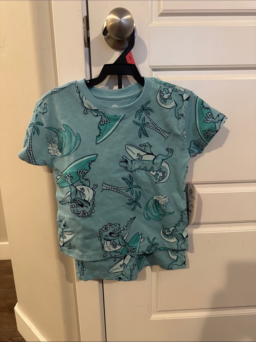 Kids Short Sleeve Dino Surf Print Tee - Aqua